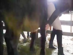 Sex zoo video in Yantai