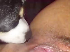 Anal first timer gets fucked