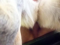 Most Relevant Short Videos - russian zooslut deep anal knot - Zoo ...